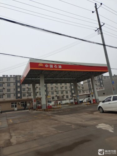 中国石油邢台新河东方(13)加油站