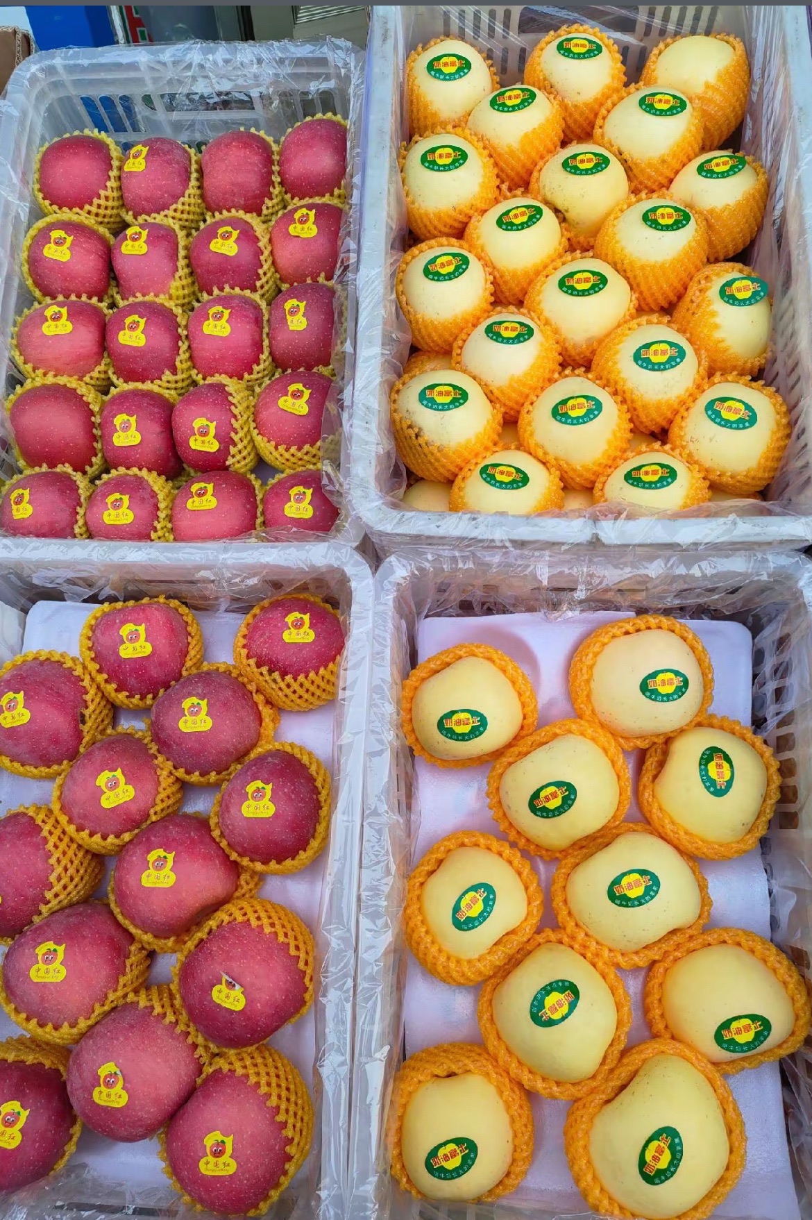 宁晋县蔬菜果品批发市场