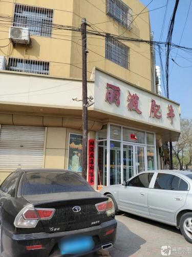 丽波肥牛