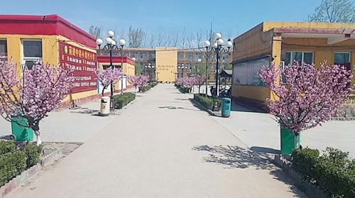 小刘村小学