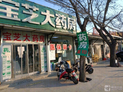 宝芝大药房(鼓楼东街店)