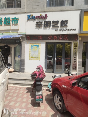辛明艺校