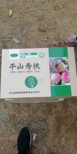 南策城中华寿桃采摘园
