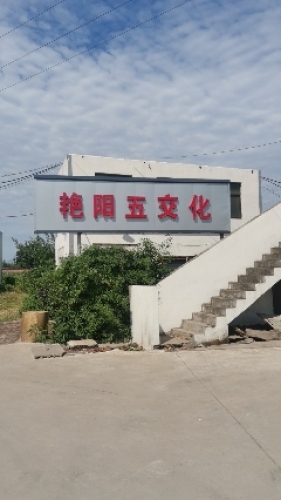 艳阳五交化
