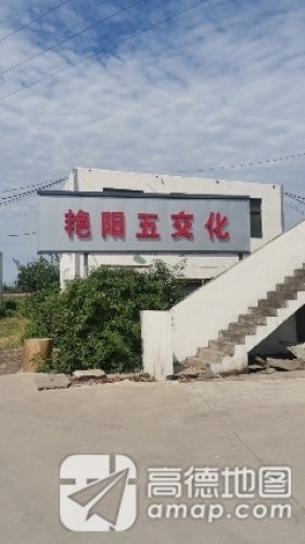 艳阳五交化