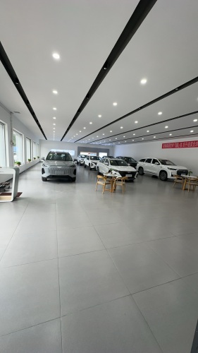 奇瑞之家(无极直营店)