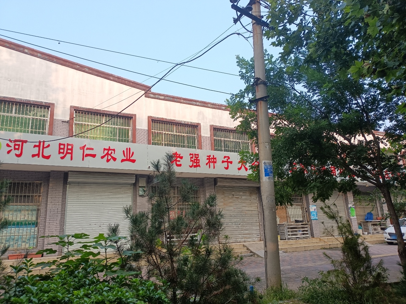 老强种子大全