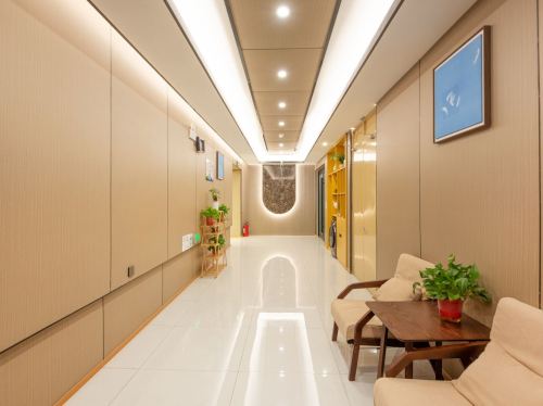 蓝月智慧酒店(新乐美院店)