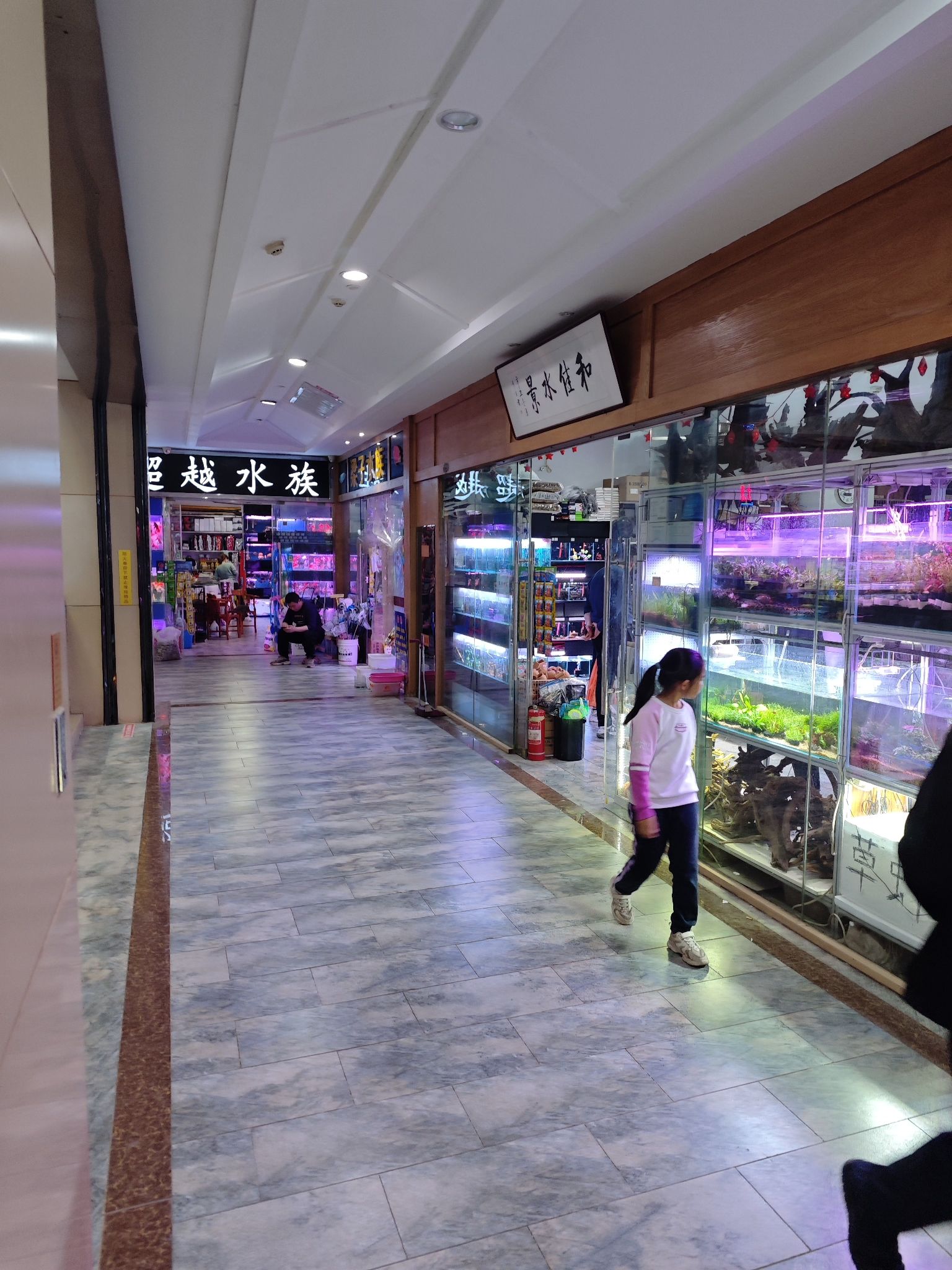 怀特花鸟鱼虫市场(富强大街)