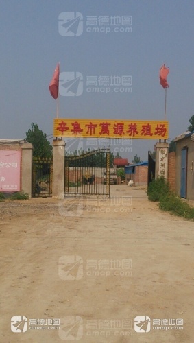 辛集市万源养殖场