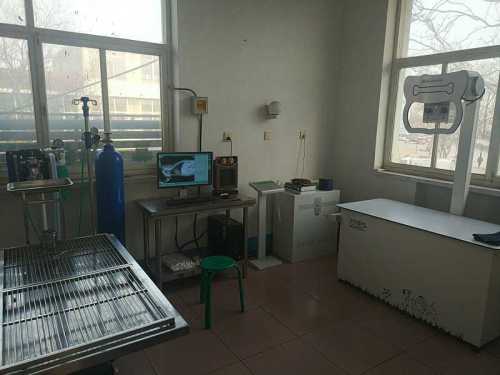 派迪动物医院(栾城店)