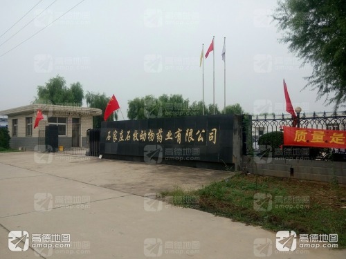 石家庄石牧药业有限公司