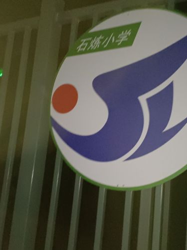 石家庄高新区石炼小学