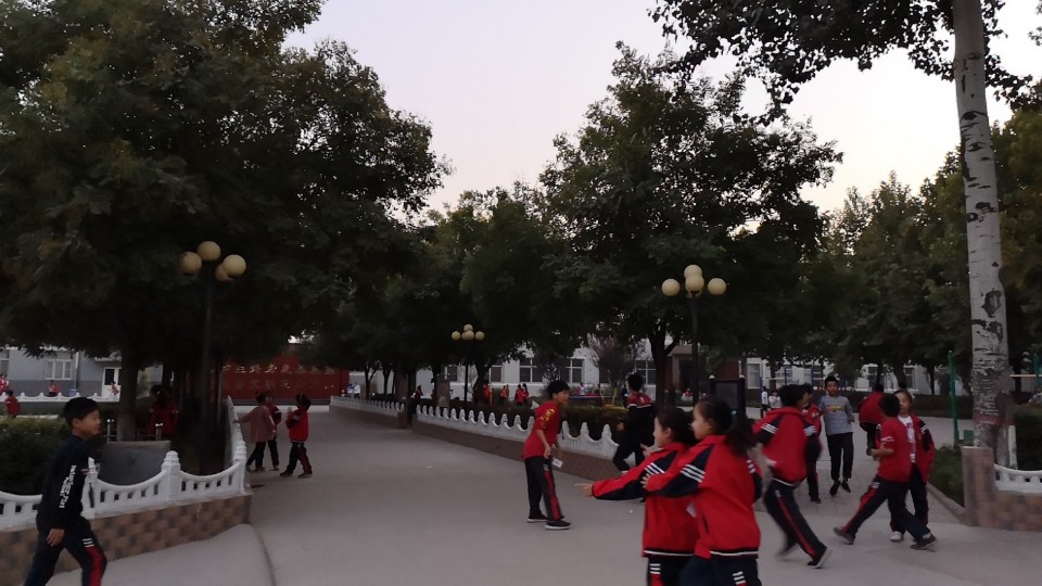 东杜中心小学