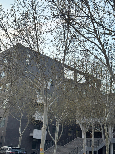 河北师范大学新校区-理科群4