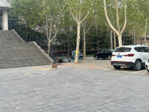 河北师范大学新校区-理科群4