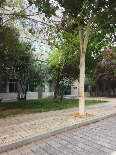 河北师大新校区-理科群1