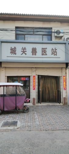 城关兽医站