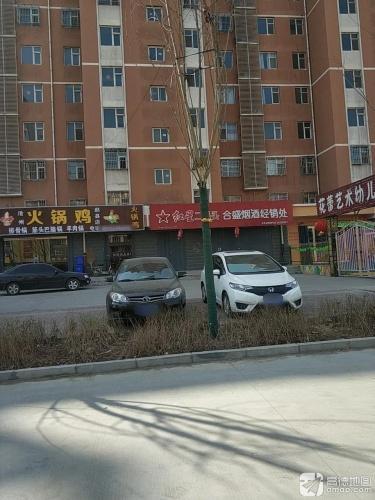 赵县花蕾幼儿园