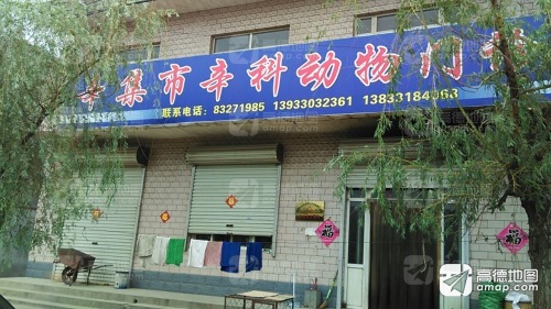 辛集市辛科动物门诊部