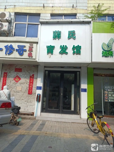 薛氏育发馆(平山店)