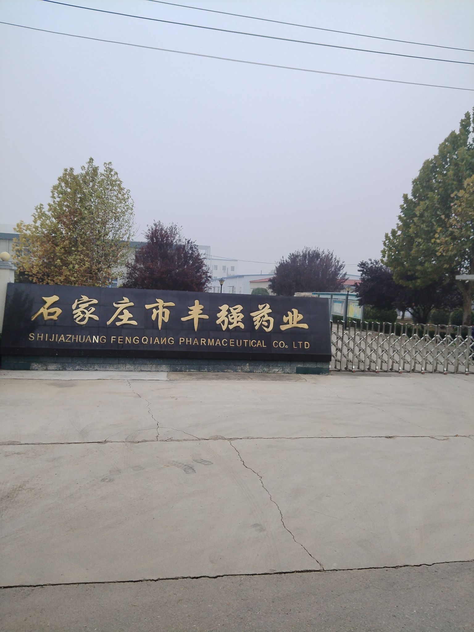 石家庄市丰强动物药业有限公司