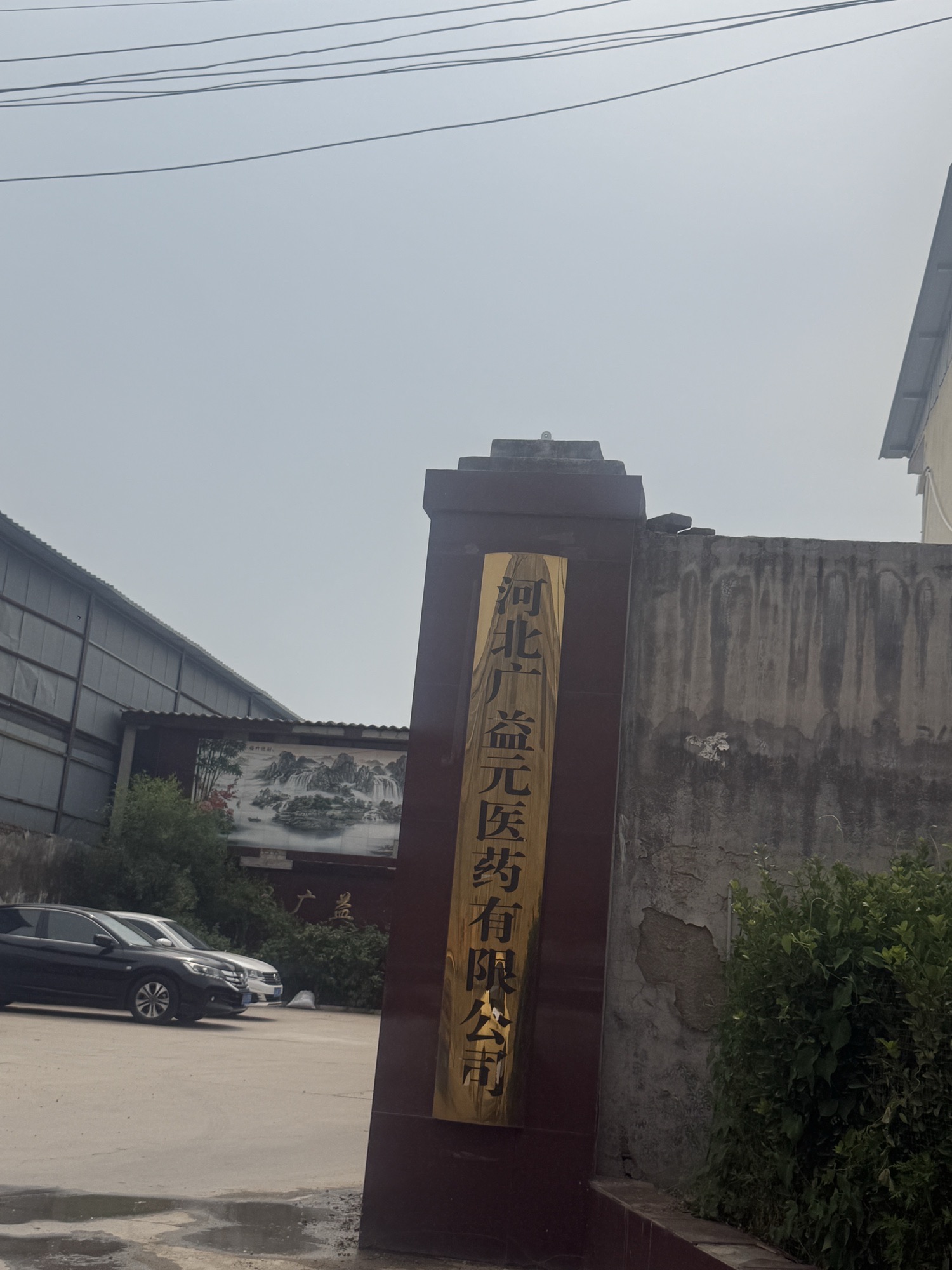 河北广益元医药有限公司