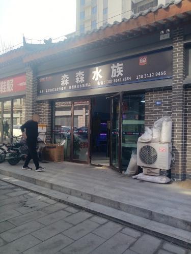 森森水族(矿区店)