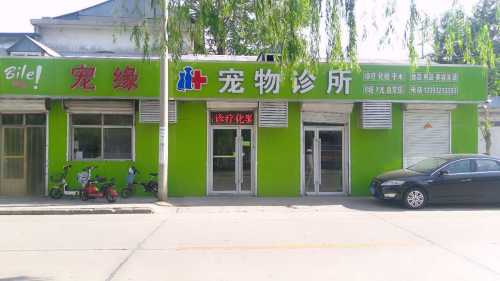 宠缘宠物诊所(太平河南路东段)