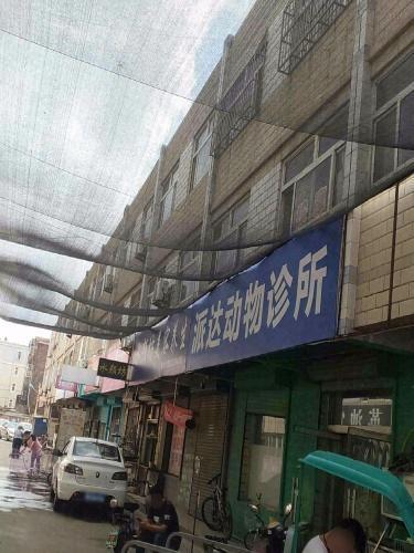派达动物诊所