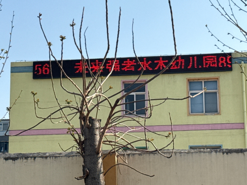 石家庄市长安区未来强者水木幼儿园(十里铺西街店)