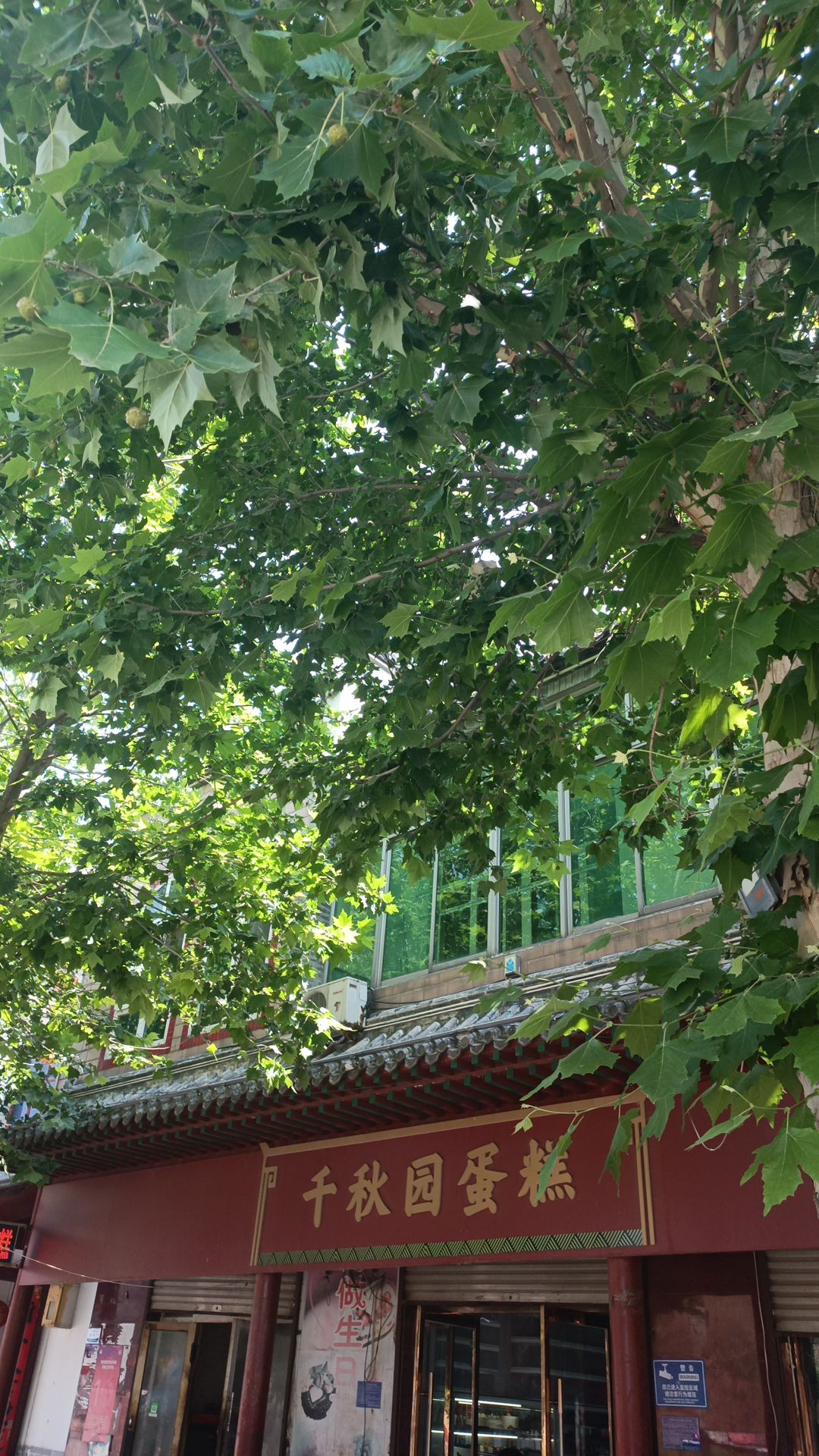 高邑千秋园蛋糕