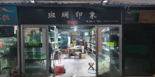 斑斓印象水族