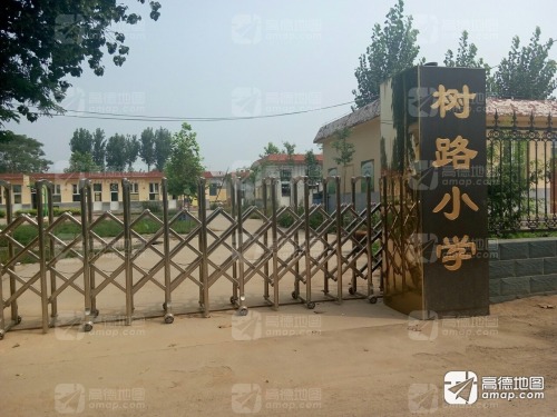 树路小学