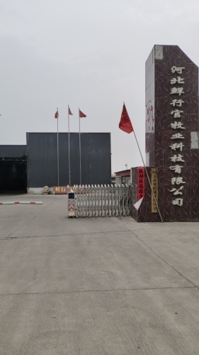 河北鲜行官牧业科技有限公司