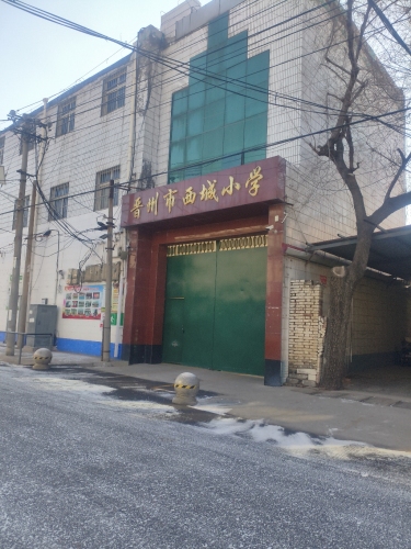 晋州市西城小学