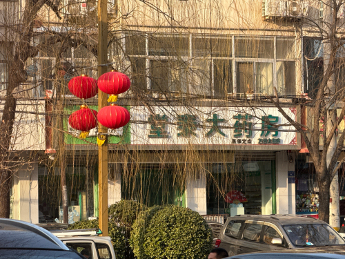 堂泰大药房(龙州大街店)