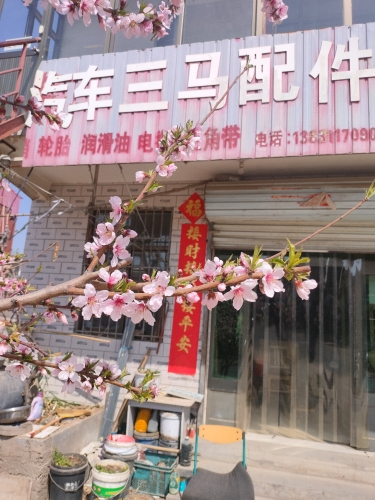 汽车三马配件