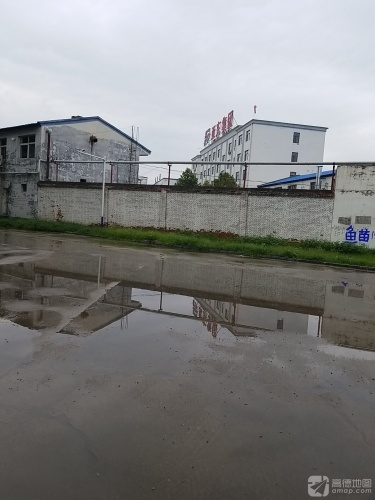 河北亚东化工集团有限公司