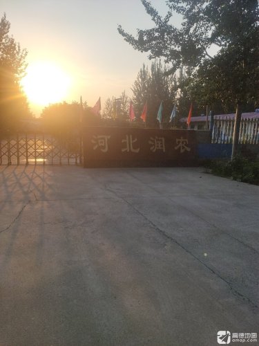 河北润农化工有限公司