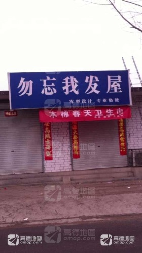 勿忘我发屋