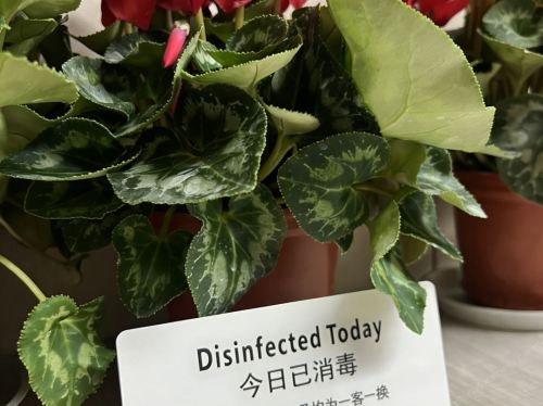 石家庄沁驰快捷酒店