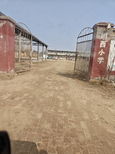 固西小学