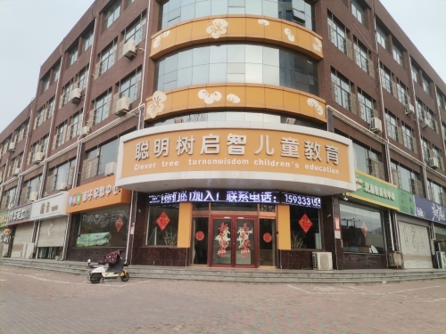 聪明树国际儿童教育(安定东大街)