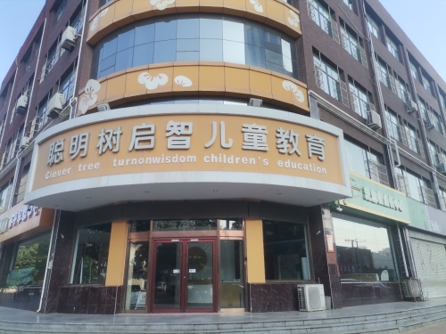 聪明树国际儿童教育(安定东大街)