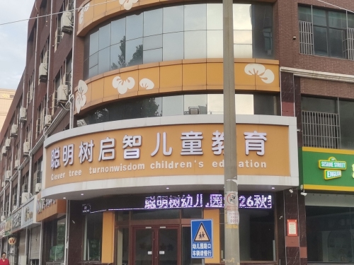 聪明树国际儿童教育(安定东大街)