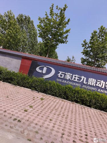 石家庄九鼎动物药业有限公司