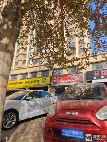 邓禄普轮胎(平山县店)