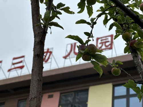 宁晋县第三幼儿园
