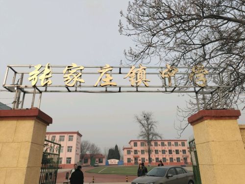张家庄镇中学
